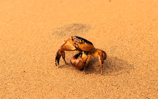 1754585 (a): :1920x1200